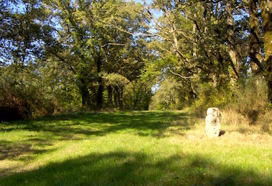 Sentier du prince noir